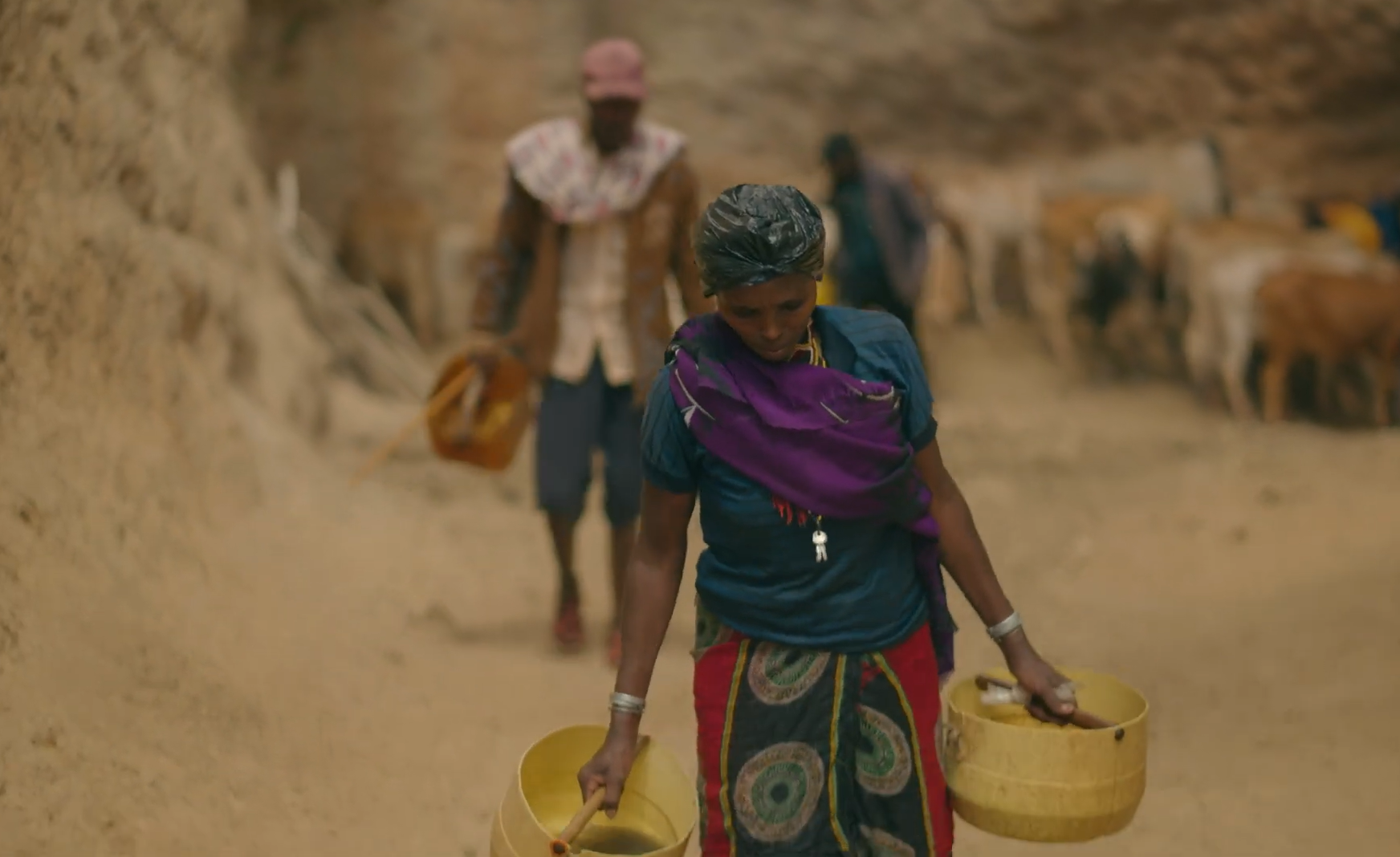 In Oromia, rafforzare la resilienza delle comunità pastorali attraverso un approccio anticipatorio