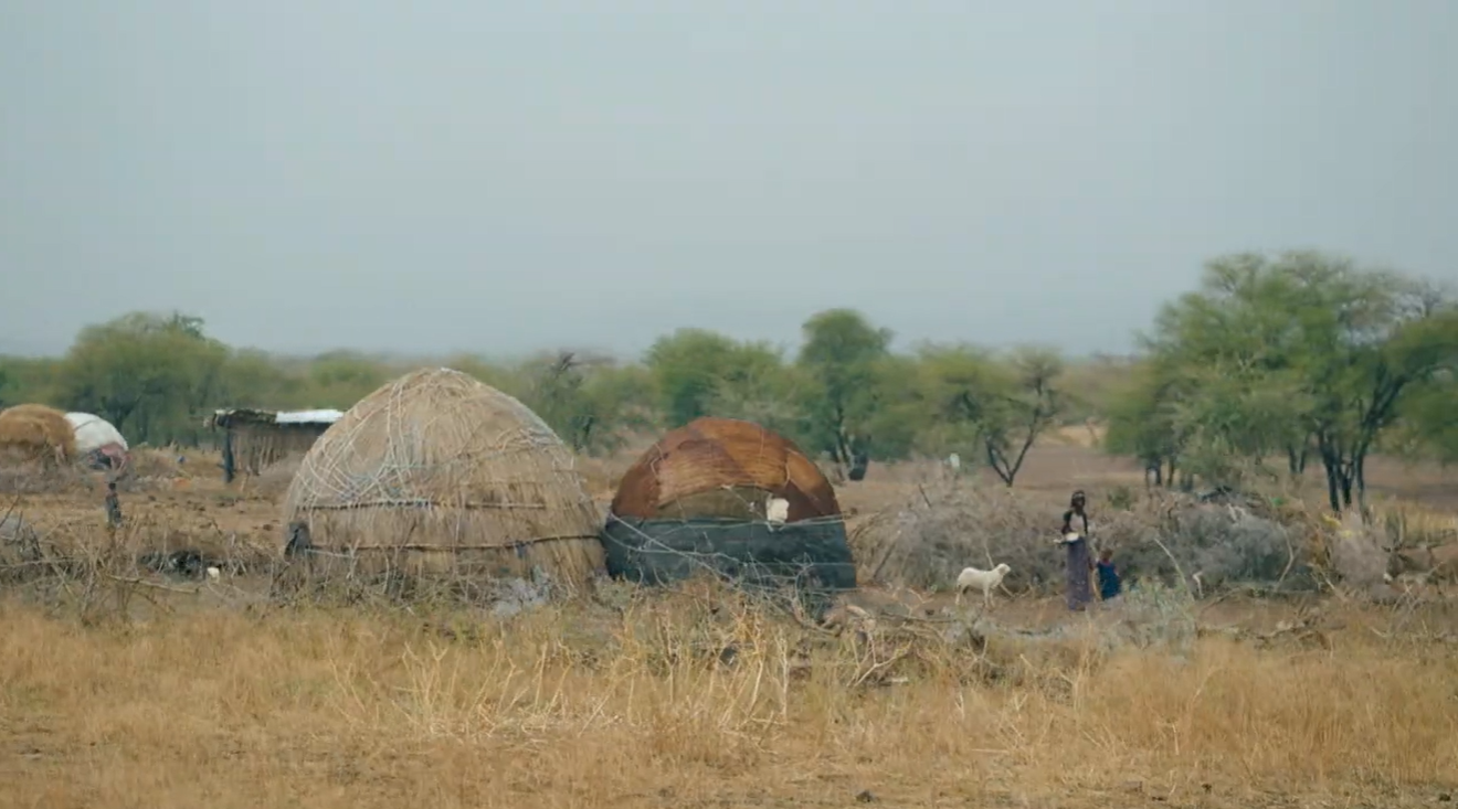 Water and Development for Stronger Community Resilience in Afar